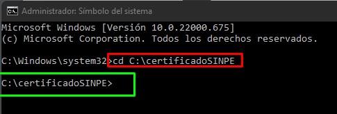 PASO9.jpg